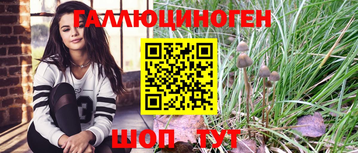 Южно-Сахалинск  Псилоцибиновые грибы прущие грибы  Вход с VPN  Псилоцибиновые грибы Psilocybine cubensis 